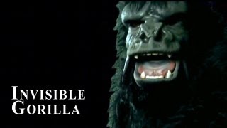 Invisible gorilla